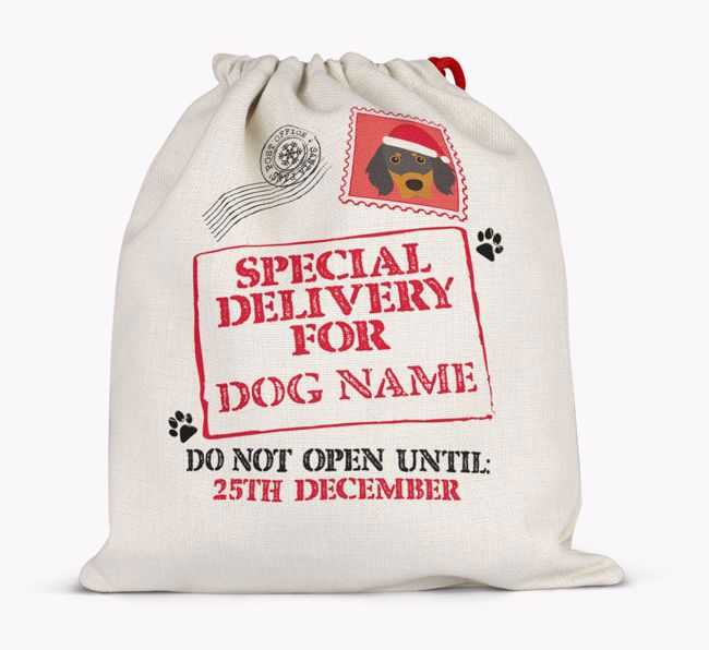 Special Delivery for {dogsName}: Personalised {breedFullName} Santa Sack